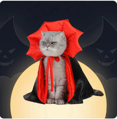 Halloween Cat Cloak
