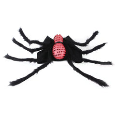 Halloween Dog Spider
