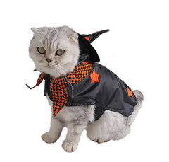 Halloween Witch Cat