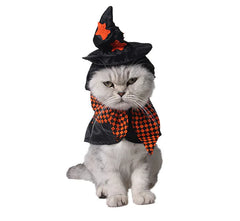 Halloween Witch Cat