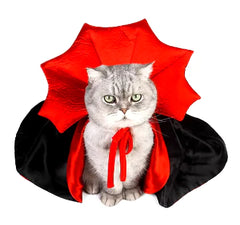 Halloween Cat Cloak